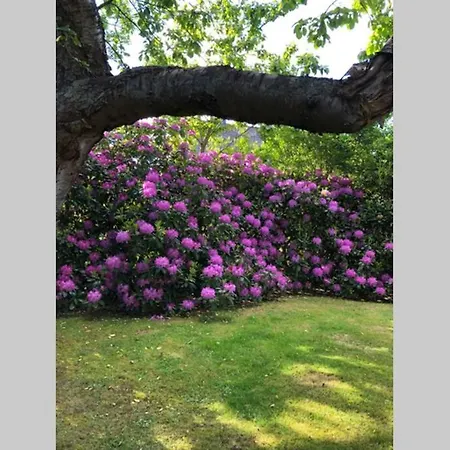 Maritim Und Individuell In Mit Balkon 公寓 文尼斯塔特