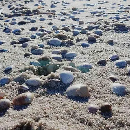 Maritim Und Individuell In Mit Balkon 公寓 文尼斯塔特